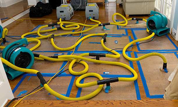 Professional Structural Drying And Dehumidification technician working in Muenster, TX